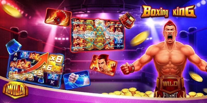 Overview of boxing king